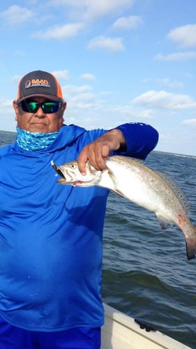 22' Whaler Inshore - Texas City In Texas City