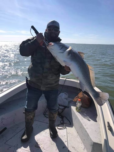 22' Whaler Inshore - Texas City in Texas City