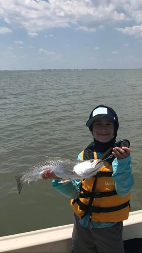 22' Whaler Inshore - Texas City in Texas City