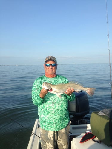 22' Whaler Inshore - Texas City in Texas City