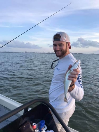 22' Whaler Inshore - Texas City In Texas City