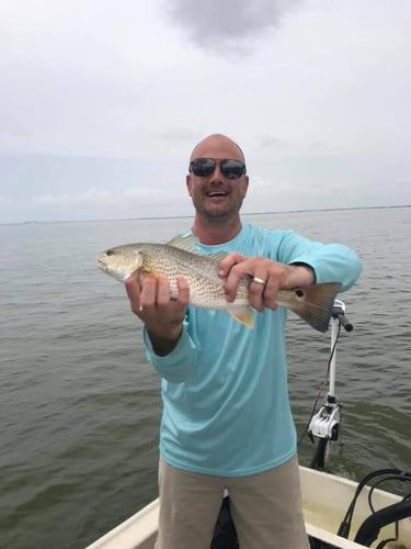 22' Whaler Inshore - Texas City in Texas City