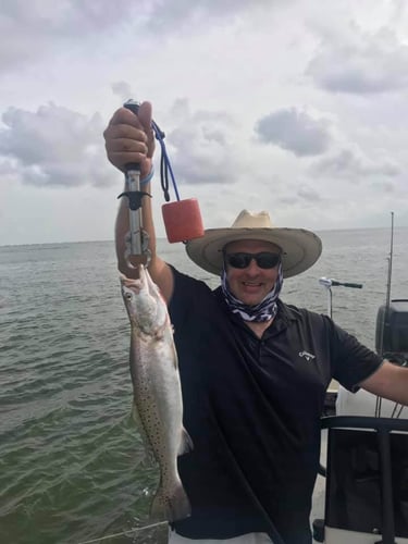 22' Whaler Inshore - Texas City In Texas City