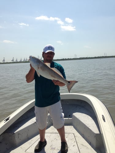 22' Whaler Inshore - Texas City in Texas City
