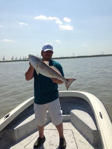 22' Whaler Inshore - Texas City In Texas City