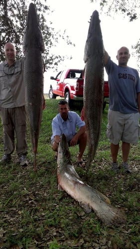 Monster Gar On Rod And Reel In Houston