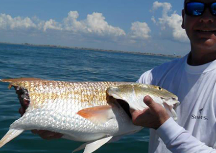 Beach Front Fishing In Galveston, Texas In Galveston