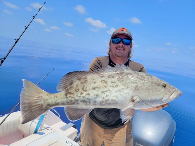 Clearwater Mixed Bag Trip In Clearwater