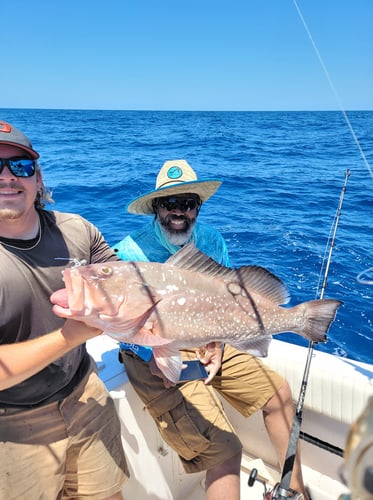 Clearwater Mixed Bag Trip In Clearwater