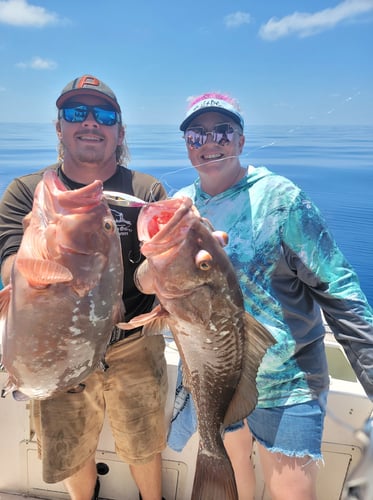 Clearwater Mixed Bag Trip In Clearwater