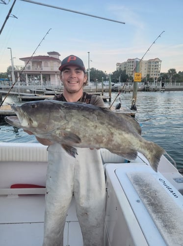 Clearwater Mixed Bag Trip In Clearwater