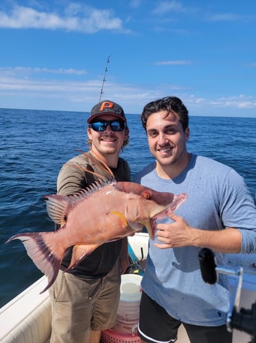 Clearwater Mixed Bag Trip In Clearwater