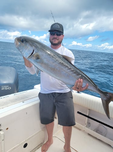 Clearwater Mixed Bag Trip In Clearwater