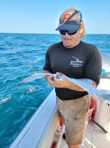 Clearwater Mixed Bag Trip In Clearwater