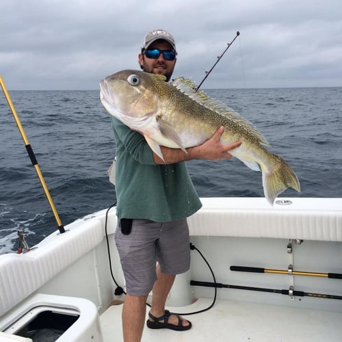 Overnight Offshore Special Trip in Boothville-Venice