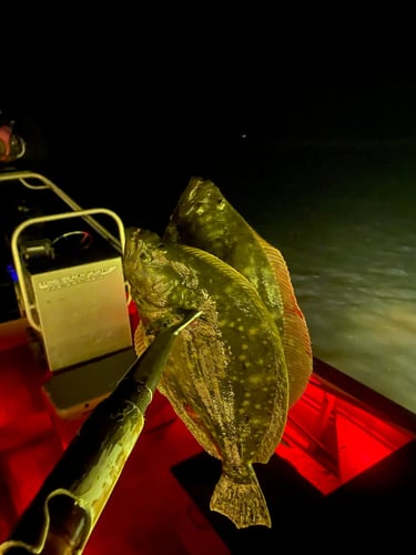 Night Time Flounder Gigging In Port O'Connor