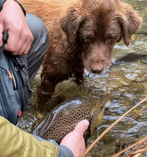 Float Trips, Full/Half Days in Leicester