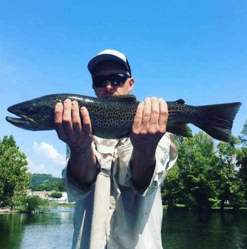 Float Trips, Full/Half Days in Leicester