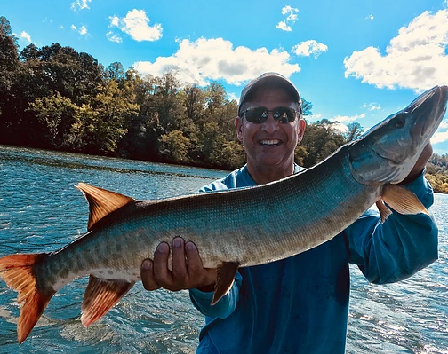 Tennessee Musky Fishing In Knoxville