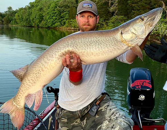 Tennessee Musky Fishing In Knoxville