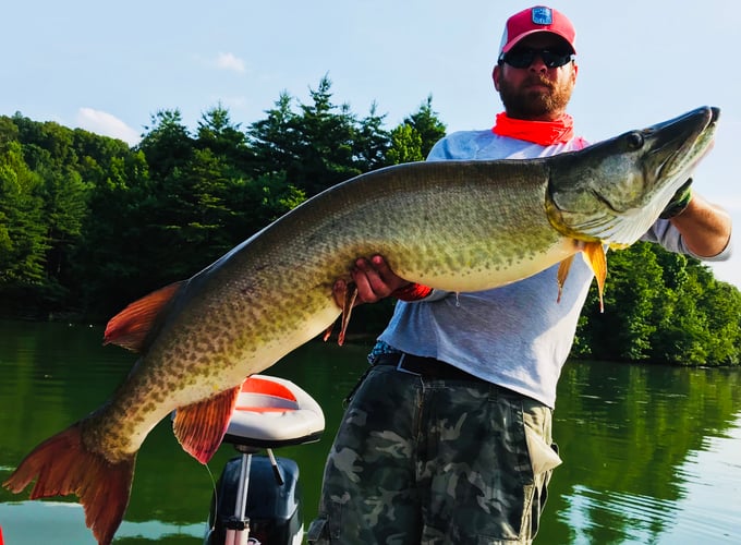 Tennessee Musky Fishing In Knoxville