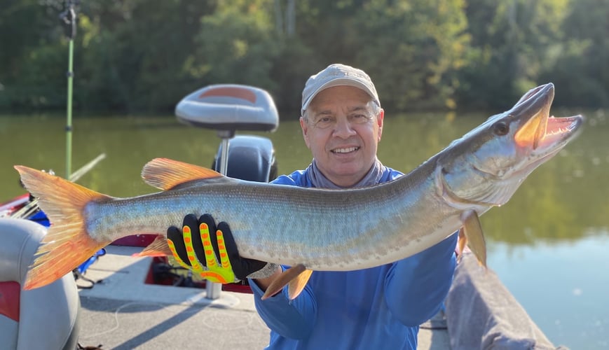 Tennessee Musky Fly Fishing