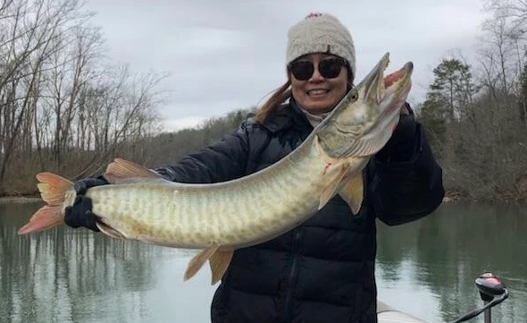 Tennessee Musky Fishing In Knoxville