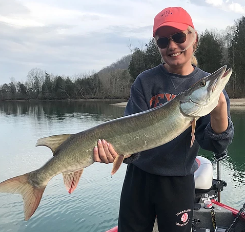 Tennessee Musky Fishing In Knoxville