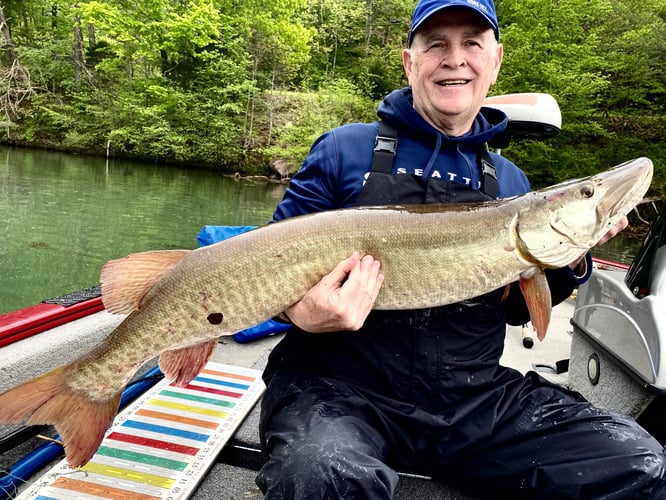 Tennessee Musky Fishing In Knoxville