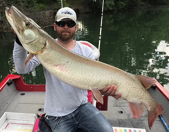 Tennessee Musky Fishing In Knoxville