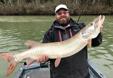 Tennessee Musky Fishing In Knoxville