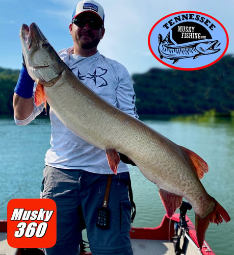 Tennessee Musky Fishing In Knoxville