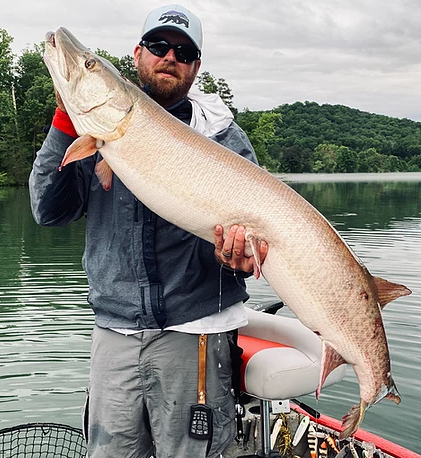 Tennessee Musky Fishing In Knoxville