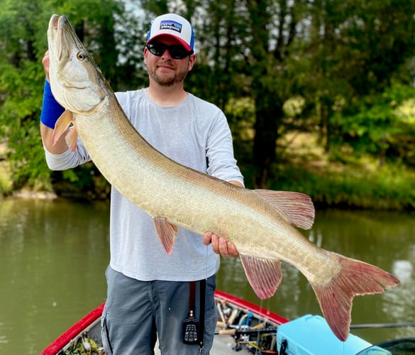 Tennessee Musky Fly Fishing