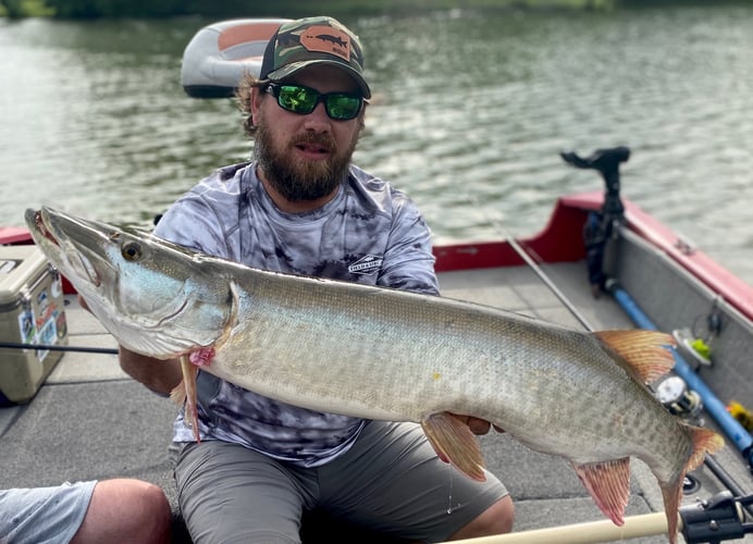 Tennessee Musky Fishing In Knoxville