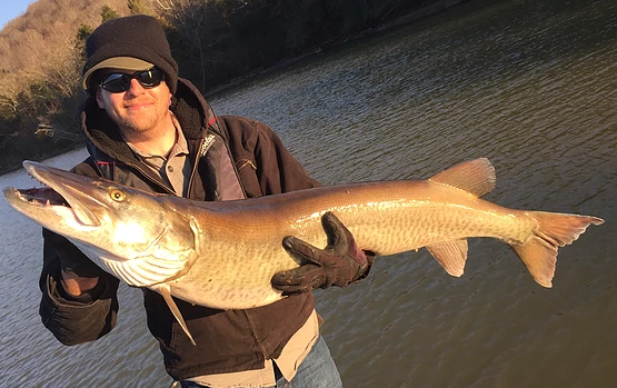 Tennessee Musky Fishing In Knoxville