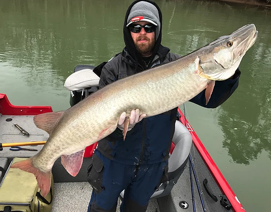 Tennessee Musky Fishing In Knoxville