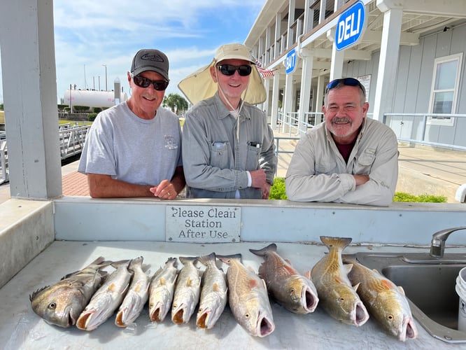 Reel In The Bay With Captain Harry In Hitchcock