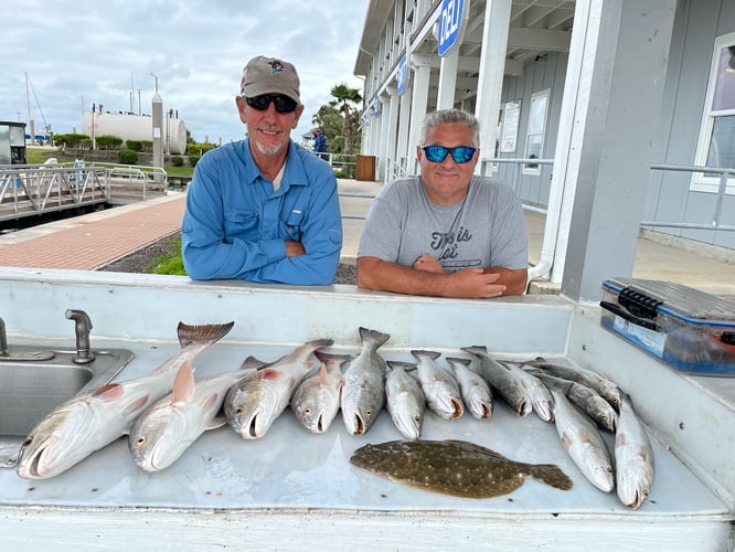 Reel In The Bay With Captain Harry In Hitchcock