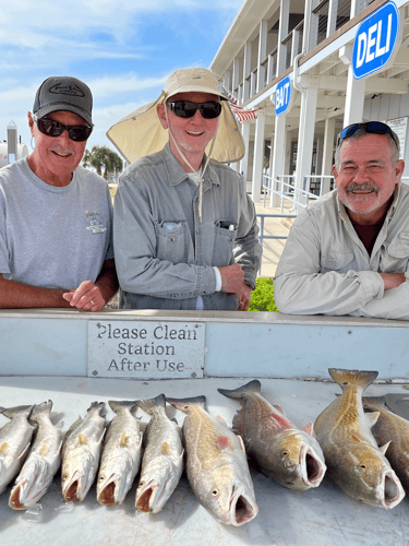 Reel In The Bay With Captain Harry In Hitchcock