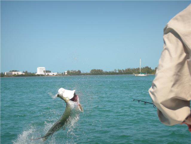 Key West Offshore Excitement! In Key West