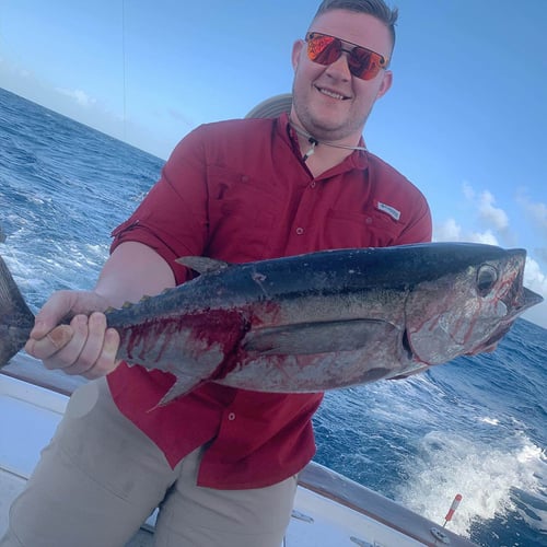 Key West Sportfishing Trip in Key West