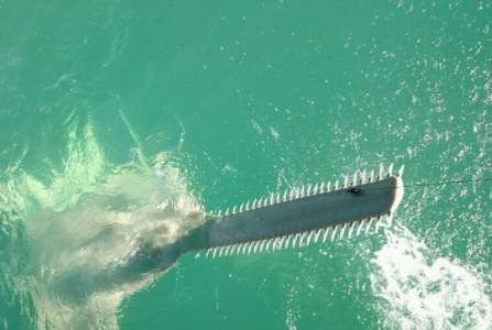 Key West Deep Sea Run - 40' Luhrs In Key West