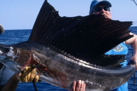Key West Deep Sea Run - 40' Luhrs In Key West