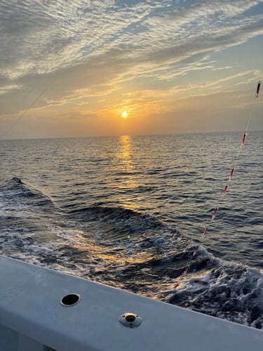 Key West Nearshore/Offshore Trip In Stock Island
