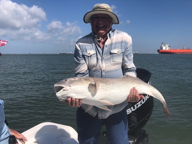 Galveston Inshore Trip In Galveston