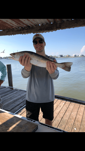 Galveston Inshore Trip In Galveston