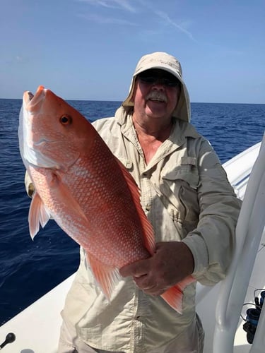 Light Tackle Snapper Fishing - Temple Fork Outfitters