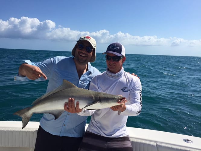 4 Hour Nearshore Fishing Trip In Key West