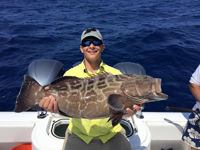 Key West Exotic Reef Fishing In Key West